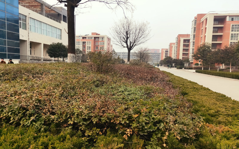 运城职业技术大学校园风景