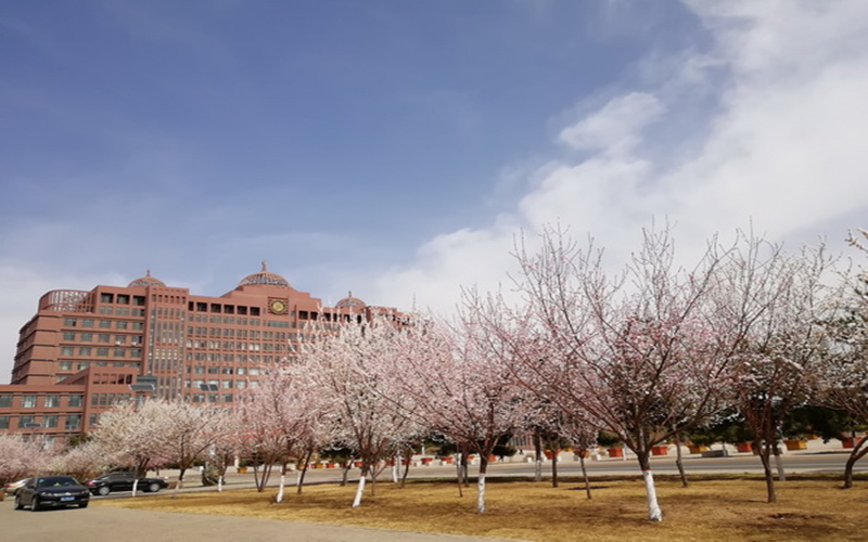 内蒙古大学校园风景