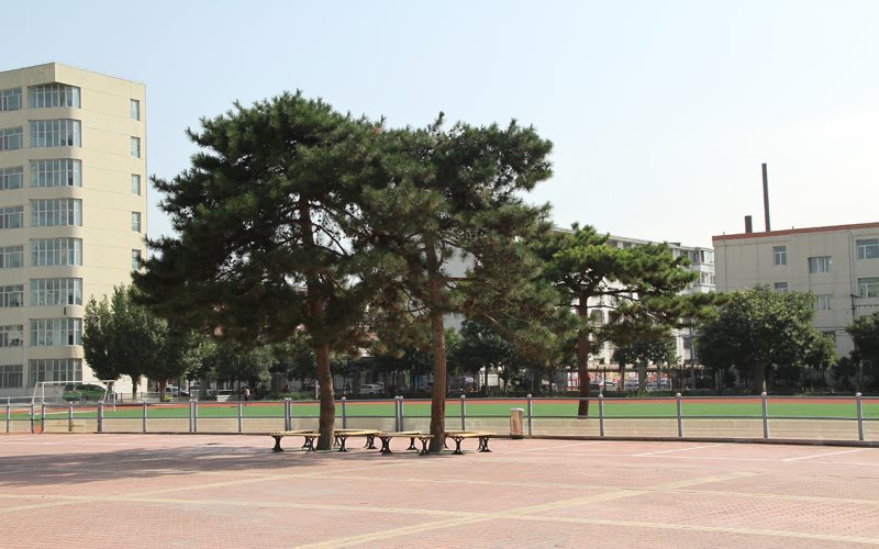 内蒙古艺术学院校园风景