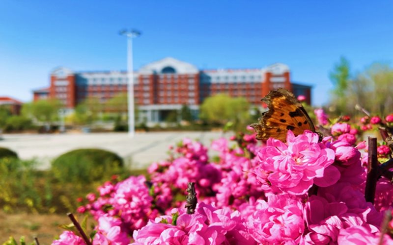 辽宁工程技术大学校园风景