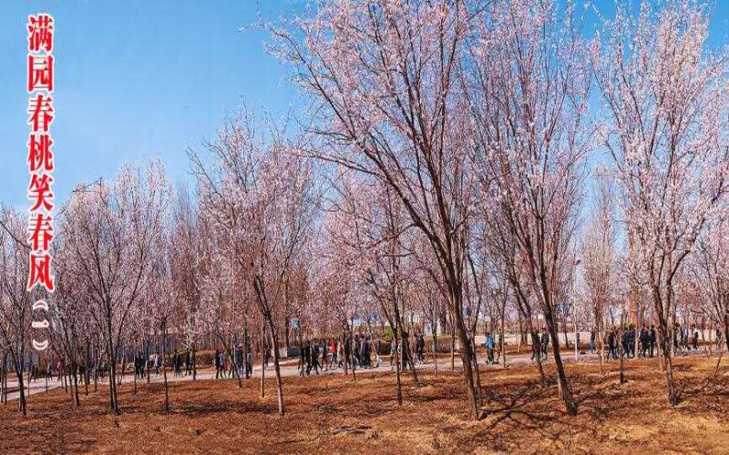 沈阳化工大学校园风景