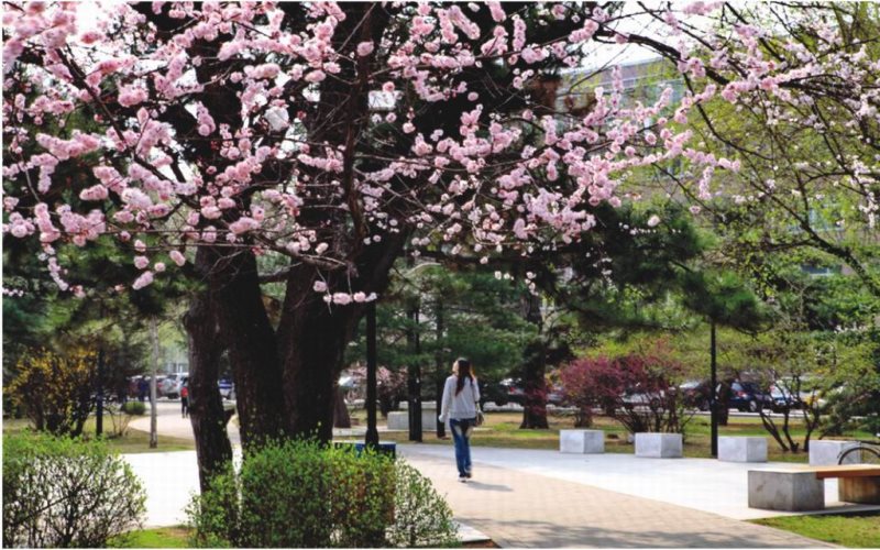 沈阳农业大学校园风景