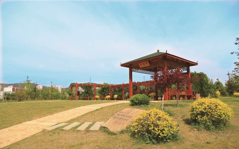 辽宁师范大学校园风景