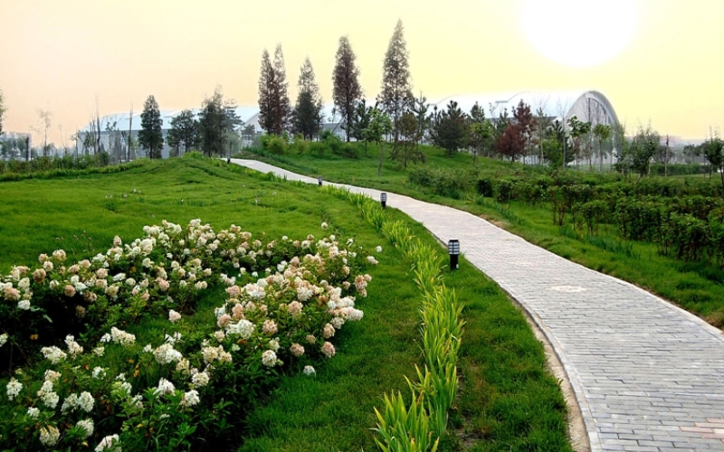 沈阳体育学院校园风景