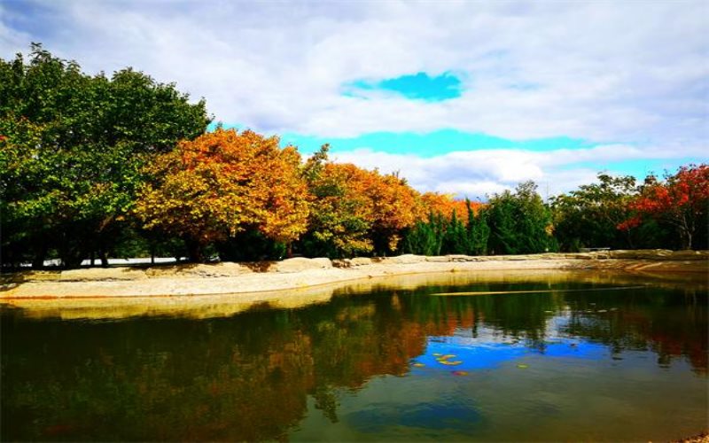 辽宁对外经贸学院校园风景