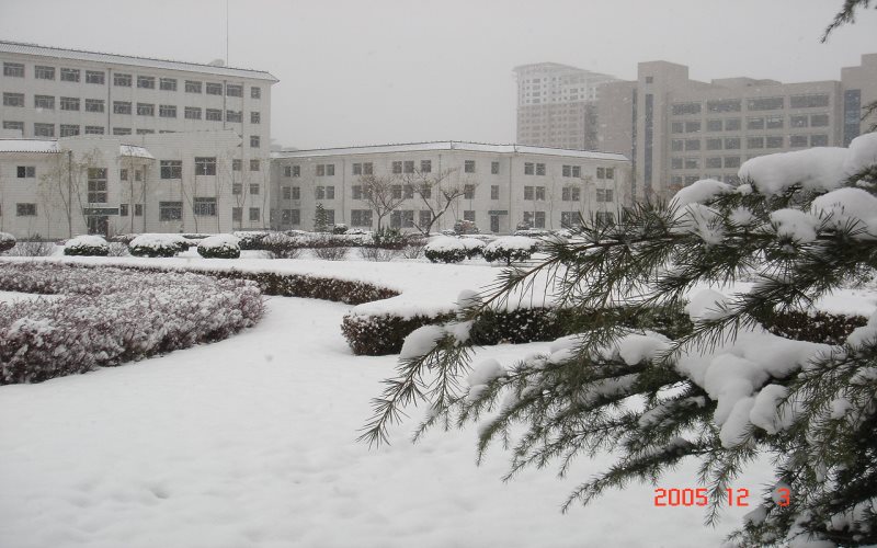 大连民族大学校园风景