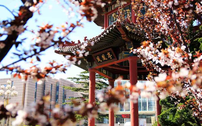 大连理工大学城市学院校园风景