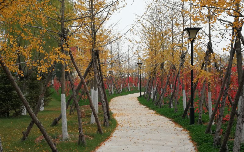 辽宁师范大学海华学院校园风景