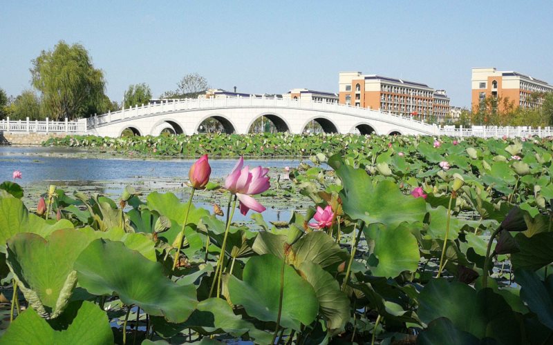 辽宁师范大学海华学院校园风景