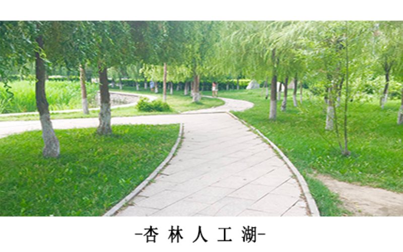 辽宁中医药大学杏林学院校园风景