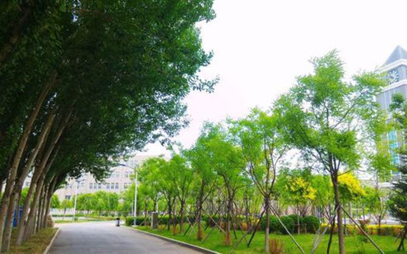 辽宁传媒学院校园风景