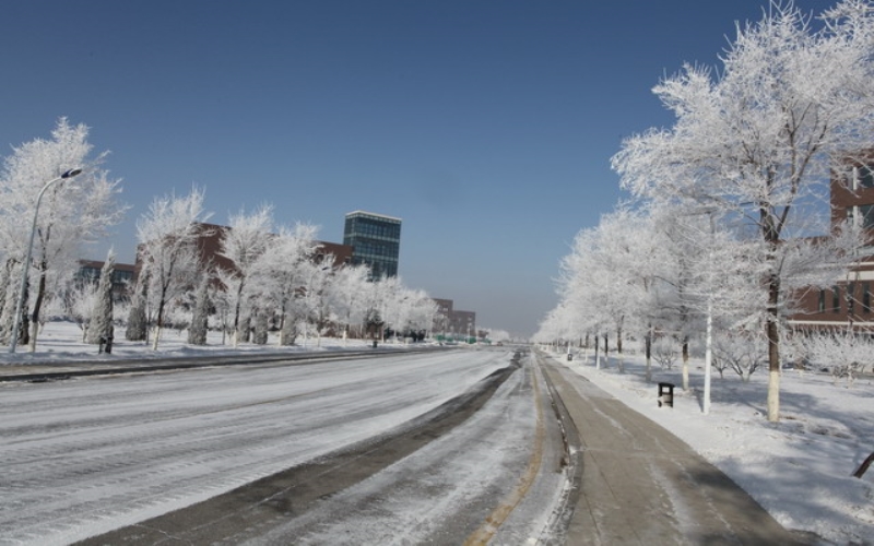 抚顺师范高等专科学校校园风景