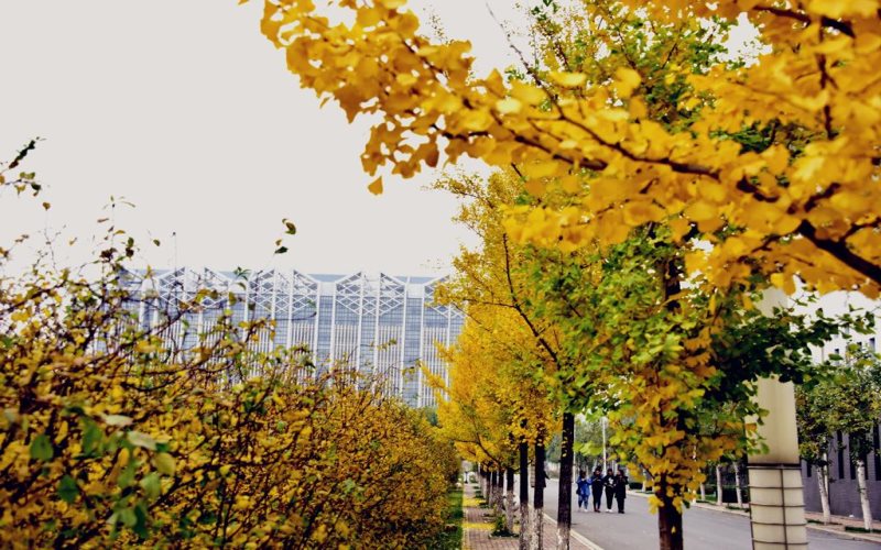 铁岭师范高等专科学校校园风景