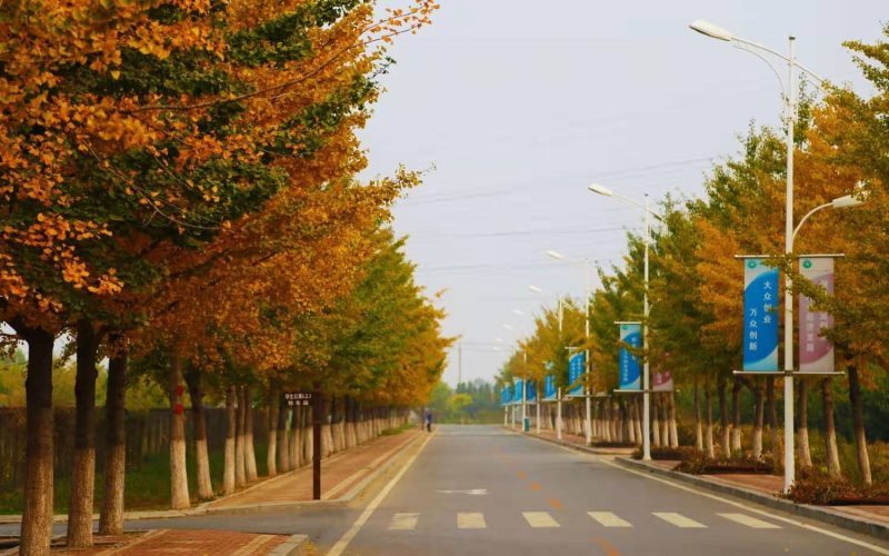辽宁农业职业技术学院校园风景