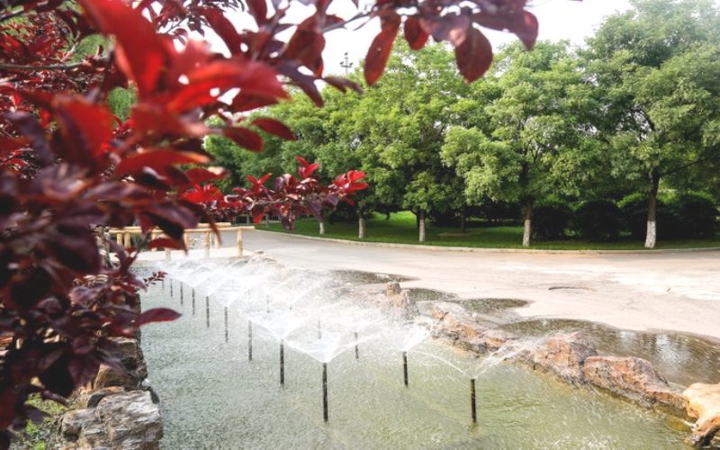 阜新高等专科学校校园风景