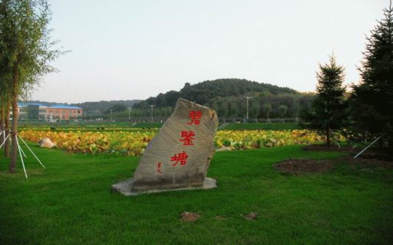 辽宁职业学院校园风景