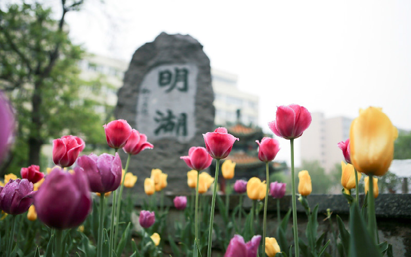 北京交通大学校园风景