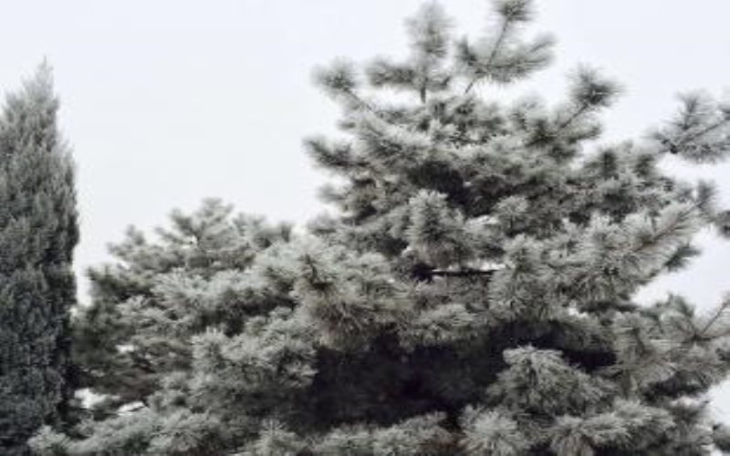 辽宁工程职业学院校园风景