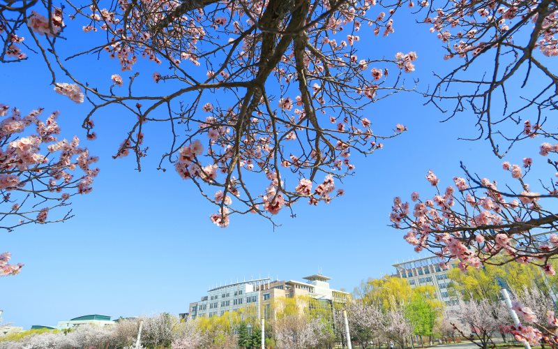 吉林大学校园风景