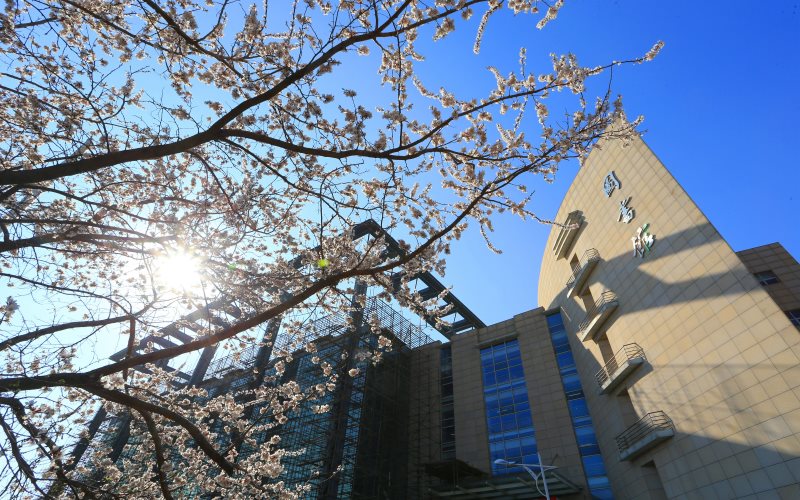 吉林大学校园风景