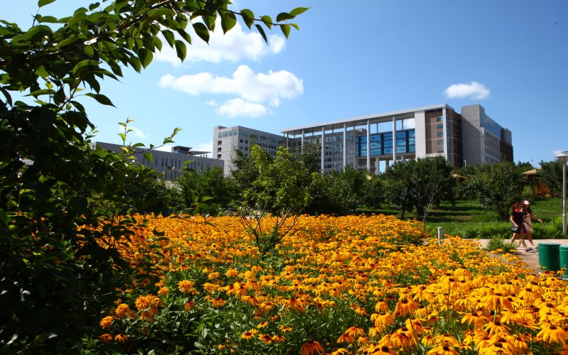 延边大学校园风景