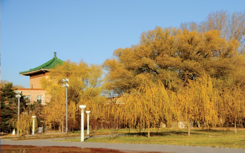 吉林农业大学校园风景