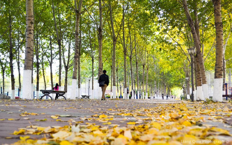 吉林财经大学校园风景