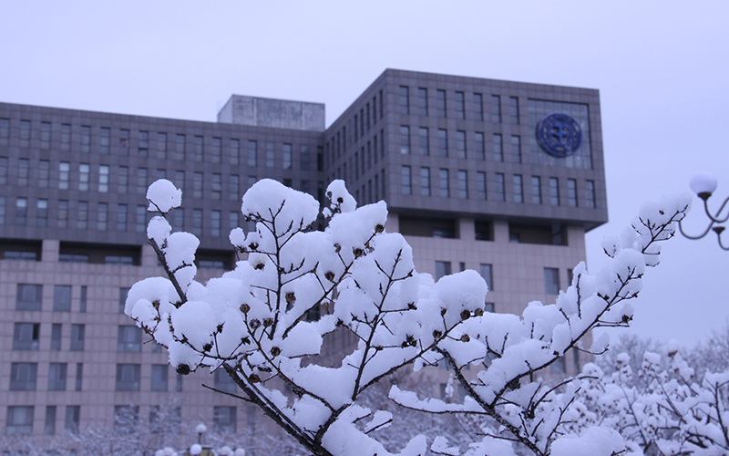 中国地质大学(北京)校园风景