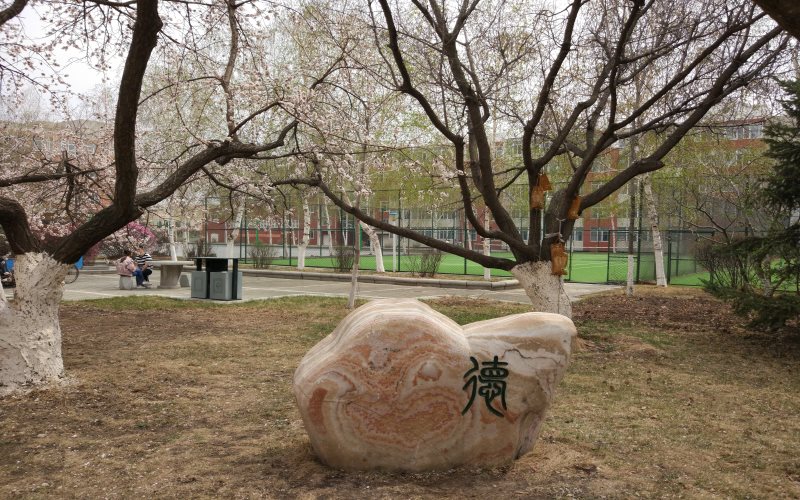 长春工业大学人文信息学院校园风景