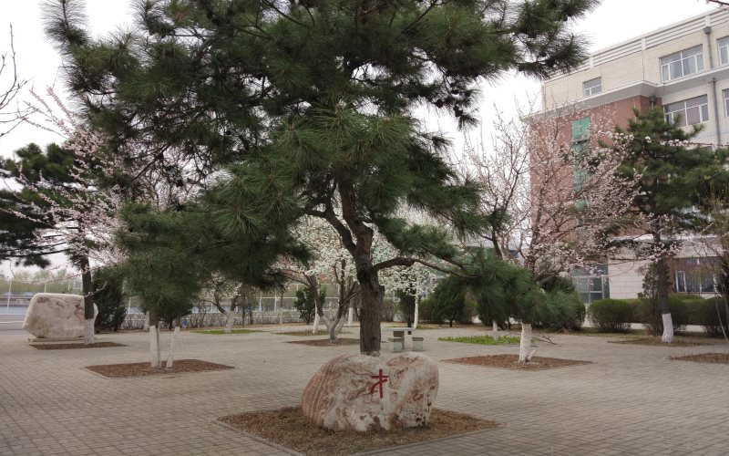 长春工业大学人文信息学院校园风景