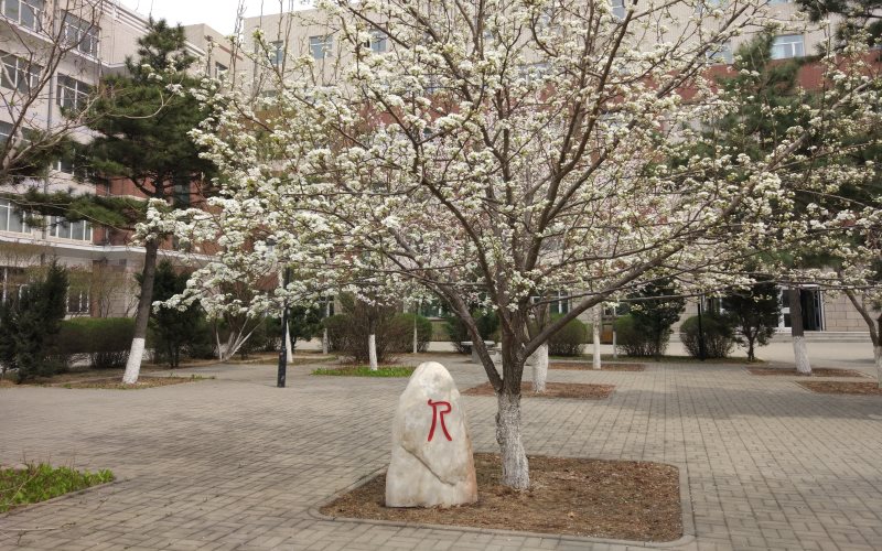 长春工业大学人文信息学院校园风景