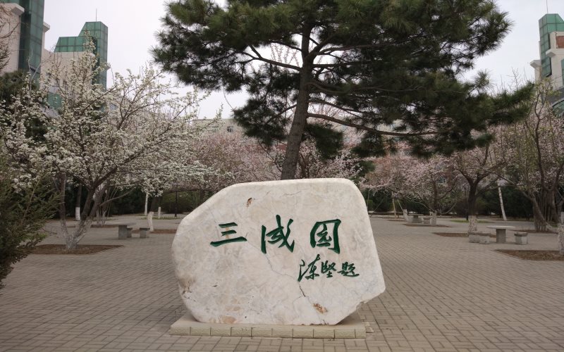 长春工业大学人文信息学院校园风景