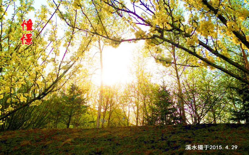 吉林科技职业技术学院校园风景