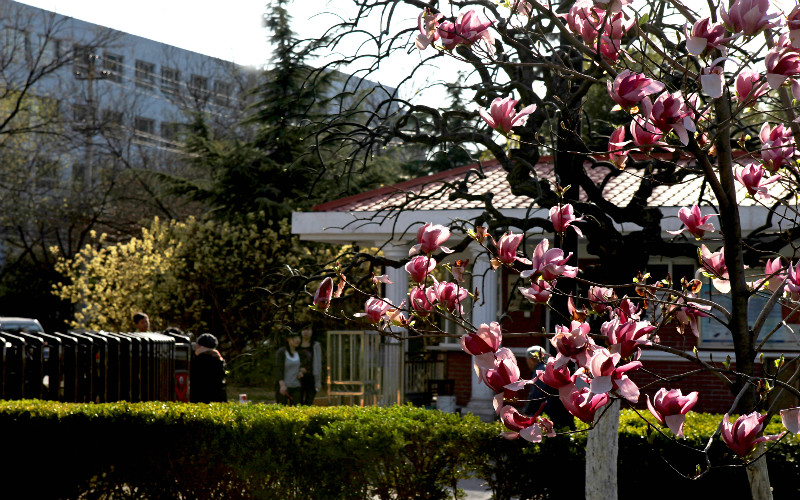 中国劳动关系学院校园风景