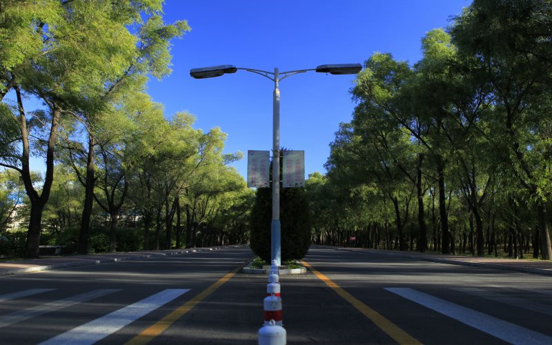 大庆职业学院校园风景