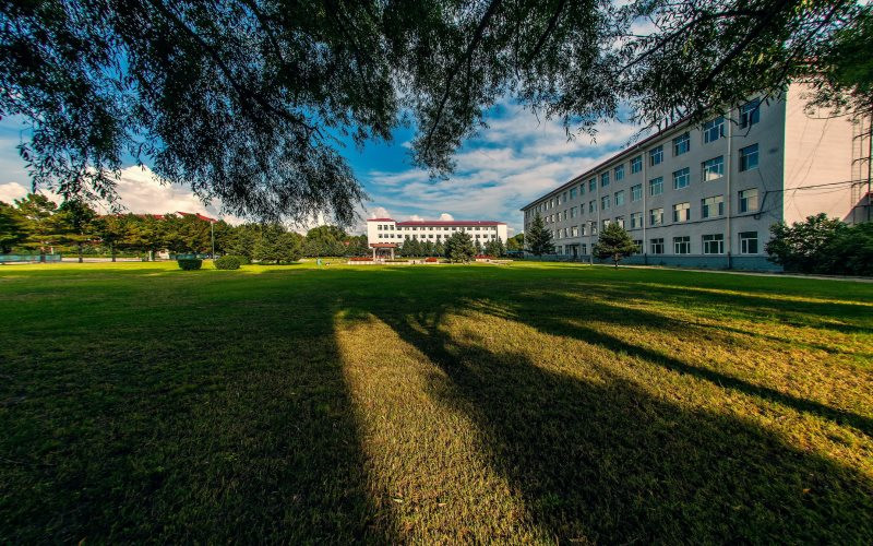 大庆职业学院校园风景