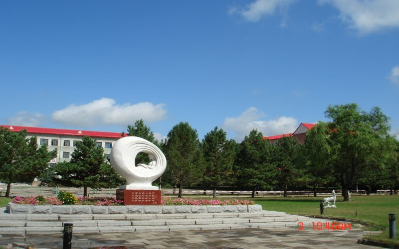 大庆职业学院校园风景