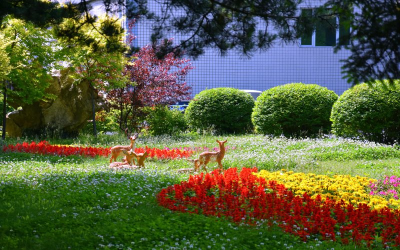 黑龙江林业职业技术学院校园风景