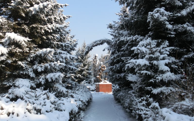 黑龙江林业职业技术学院校园风景