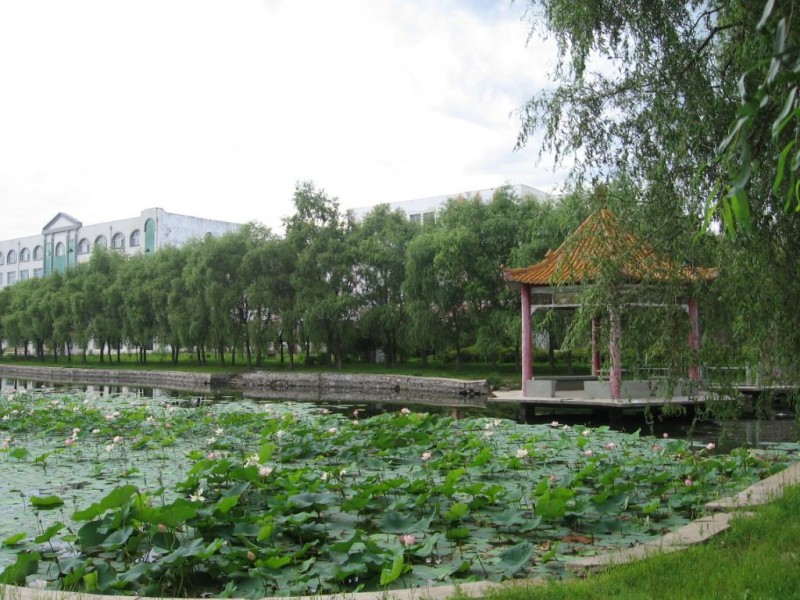 鹤岗师范高等专科学校校园风景