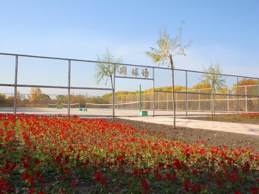 鹤岗师范高等专科学校校园风景
