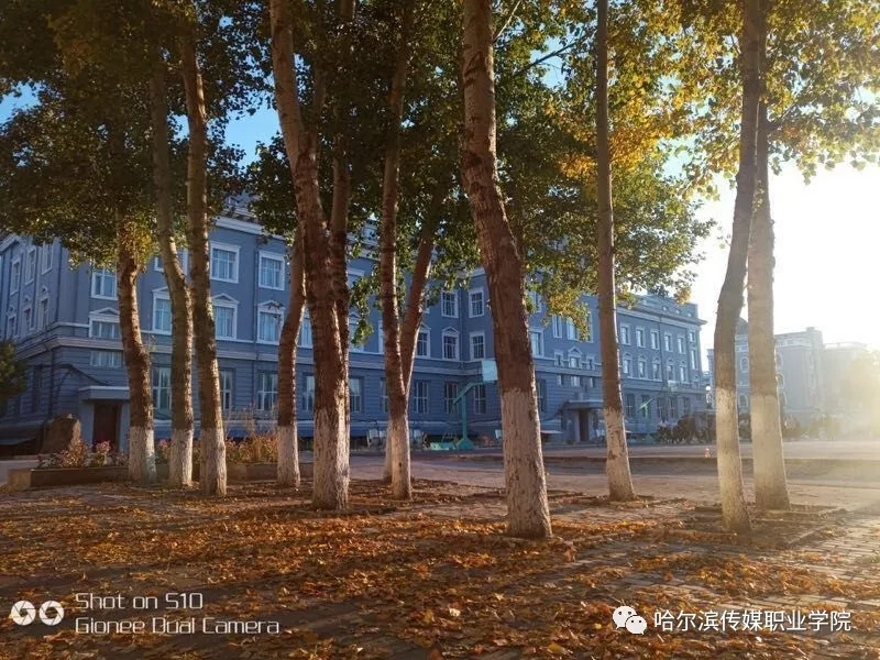 哈尔滨传媒职业学院校园风景