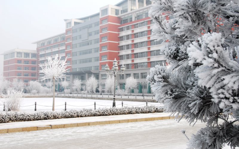 黑龙江生物科技职业学院校园风景