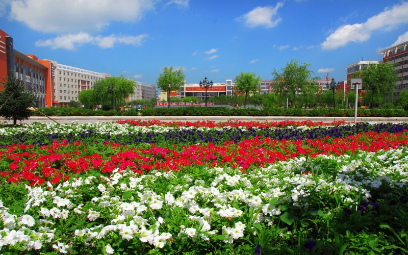 黑龙江生物科技职业学院校园风景