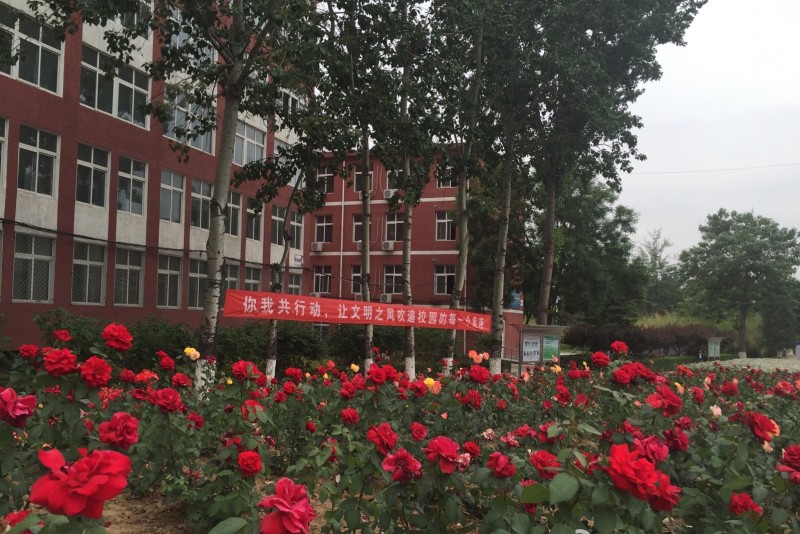 黑龙江三江美术职业学院校园风景