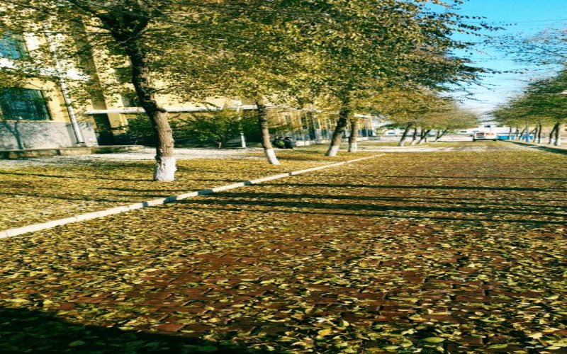 黑龙江民族职业学院校园风景