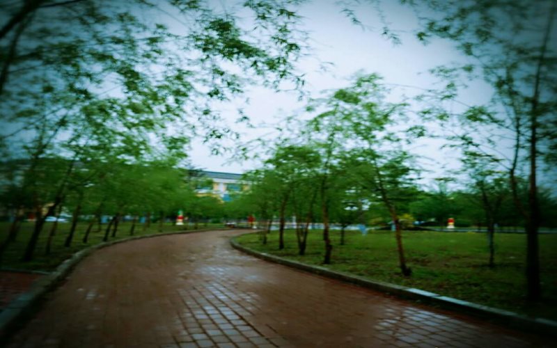 黑龙江民族职业学院校园风景
