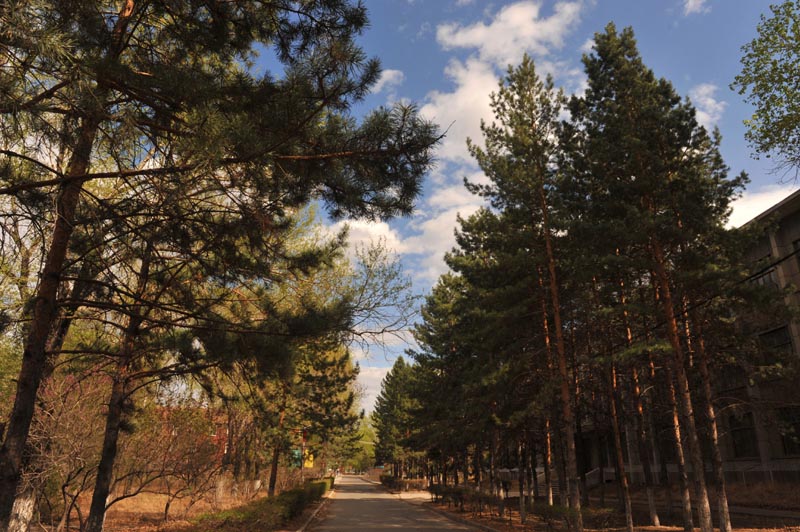 齐齐哈尔理工职业学院校园风景