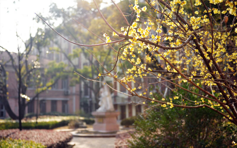 东华大学校园风景