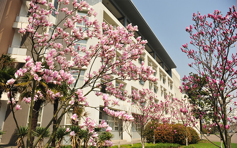 东华大学校园风景